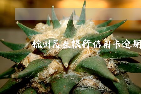 杭州民生银行信用卡逾期政策 杭州民生银行信用卡逾期政策