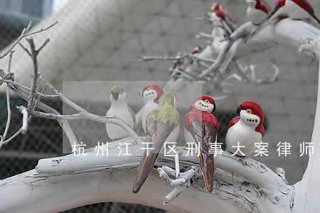 杭州江干区刑事大案律师哪个好 杭州江干区刑事大案律师哪个好