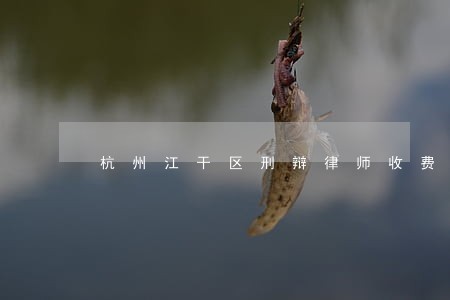 杭州江干区刑辩律师收费