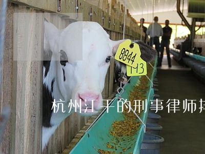 杭州江干的刑事律师排名 杭州江干的刑事律师排名