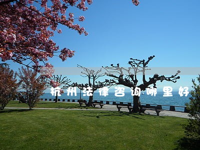杭州法律咨询哪里好 杭州法律咨询哪里好