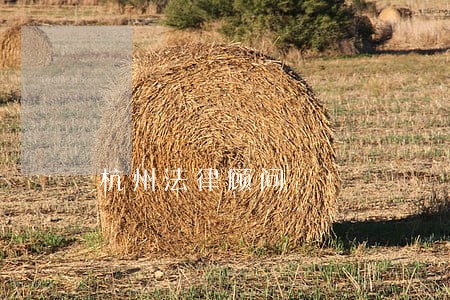 杭州法律顾问 杭州法律顾问