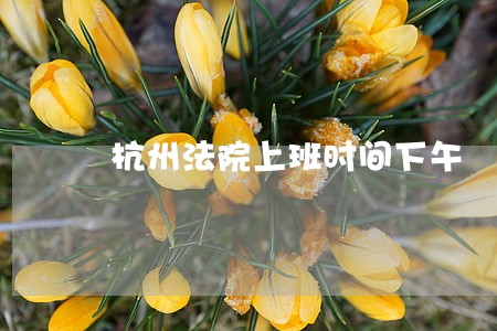杭州法院上班时间下午 杭州法院上班时间下午