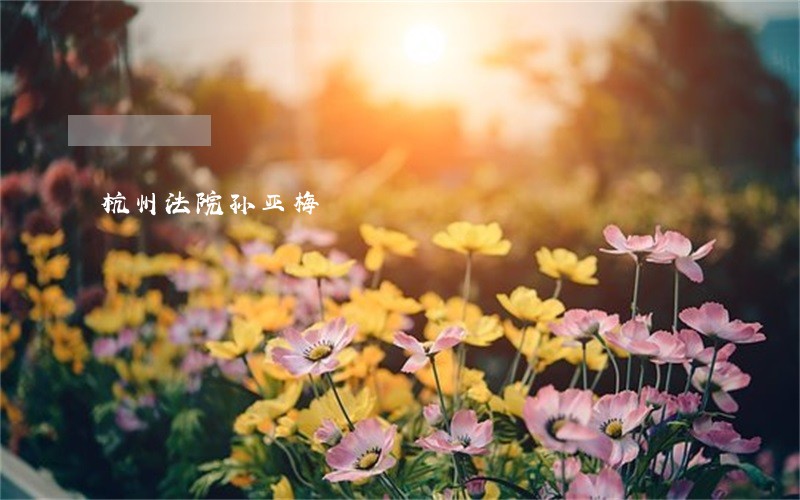 杭州法院孙亚梅 杭州法院孙亚梅