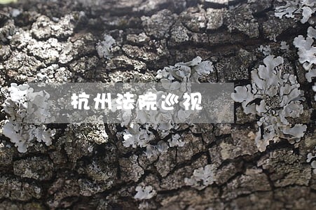 杭州法院巡视 杭州法院巡视
