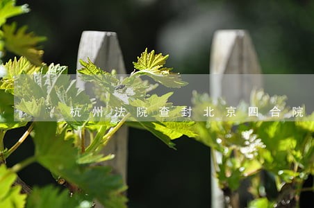 杭州法院查封北京四合院 杭州法院查封北京四合院