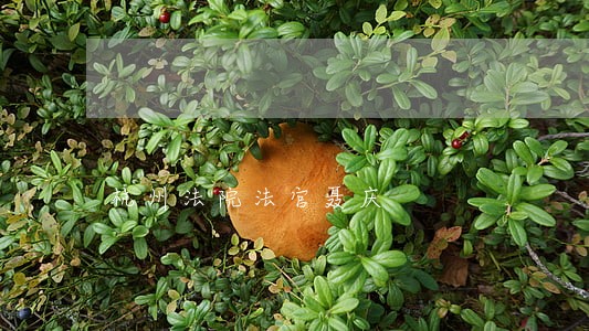 杭州法院法官聂庆 杭州法院法官聂庆