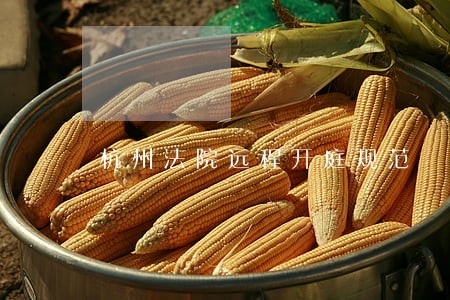 杭州法院远程开庭规范