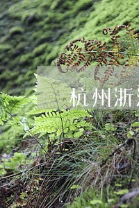 杭州浙江振业律师事务所的电话 杭州浙江振业律师事务所的电话
