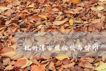 杭州淳安债权债务律师