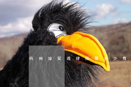 杭州淳安请律师要多少费用
