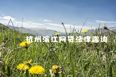 杭州滨江网贷法律咨询 杭州滨江网贷法律咨询