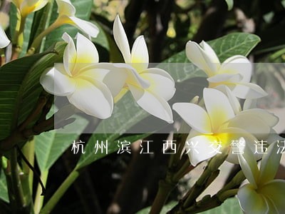 杭州滨江西兴交警违法处理中心 杭州滨江西兴交警违法处理中心
