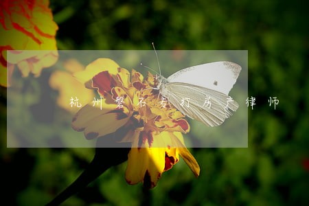 杭州磐石专打房产律师 杭州磐石专打房产律师