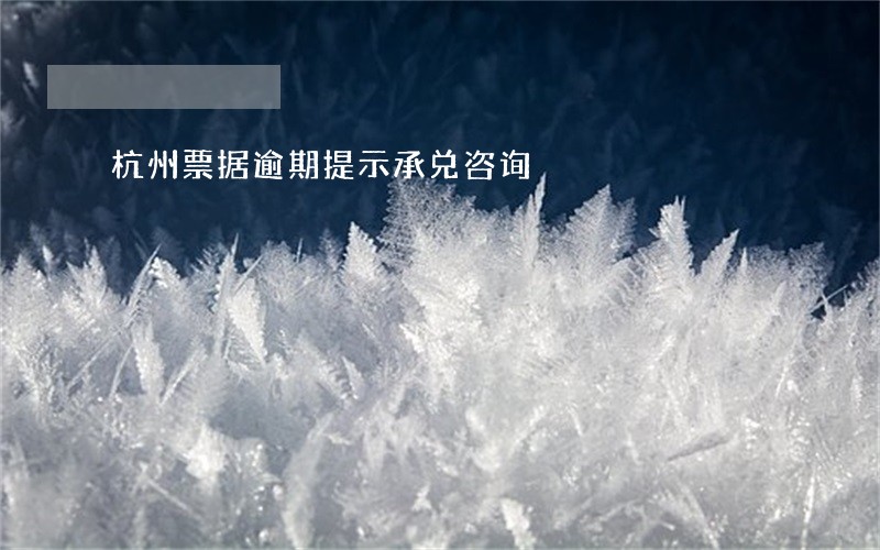 杭州票据逾期提示承兑咨询 杭州票据逾期提示承兑咨询