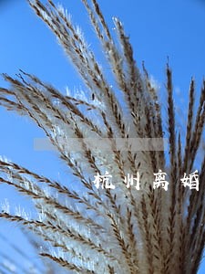杭州离婚债务纠纷律师推荐 杭州离婚债务纠纷律师推荐