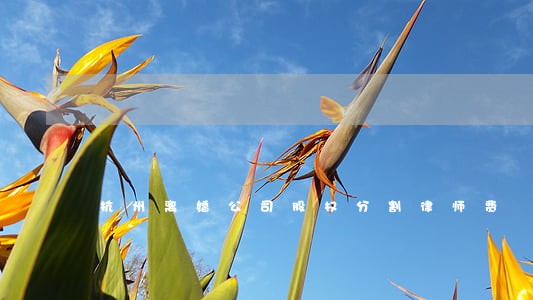 杭州离婚公司股权分割律师费 杭州离婚公司股权分割律师费