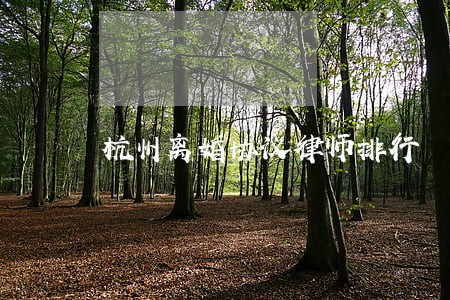 杭州离婚协议律师排行 杭州离婚协议律师排行