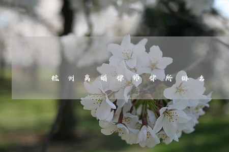 杭州离婚律师律所排名 杭州离婚律师律所排名