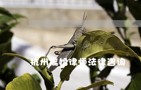 杭州离婚律师法律咨询 杭州离婚律师法律咨询