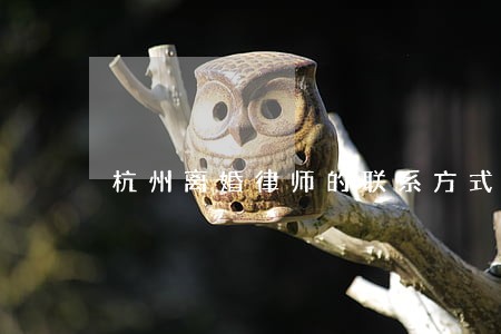 杭州离婚律师的联系方式 杭州离婚律师的联系方式