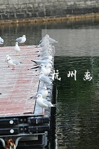杭州离婚找律师要多少钱 杭州离婚找律师要多少钱