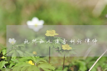 杭州私人债务纠纷律师