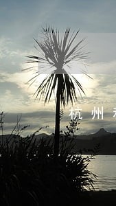 杭州科地财富逾期 杭州科地财富逾期