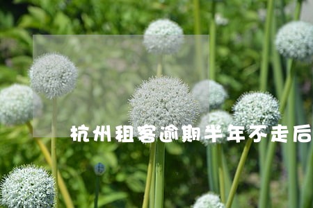 杭州租客逾期半年不走后续 杭州租客逾期半年不走后续
