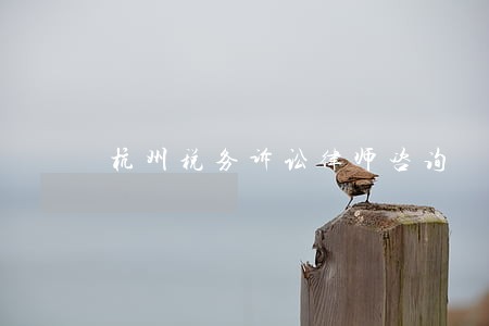 杭州税务诉讼律师咨询 杭州税务诉讼律师咨询