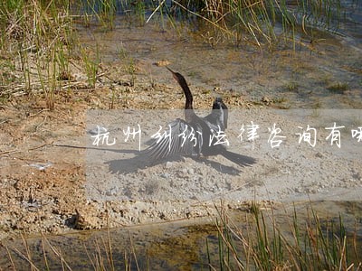 杭州纠纷法律咨询有哪些 杭州纠纷法律咨询有哪些