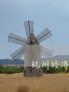杭州经济律师 杭州经济律师