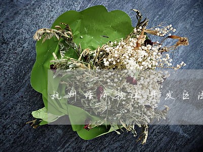 杭州经济技术开发区法院案件