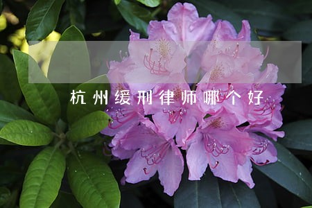 杭州缓刑律师哪个好 杭州缓刑律师哪个好