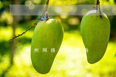 杭州网络法律咨询 杭州网络法律咨询