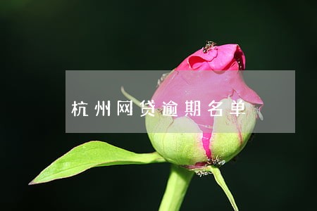 杭州网贷逾期名单 杭州网贷逾期名单