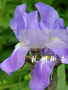 杭州职务侵占罪律师服务价格 杭州职务侵占罪律师服务价格
