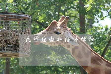 杭州股权纠纷请律师 杭州股权纠纷请律师