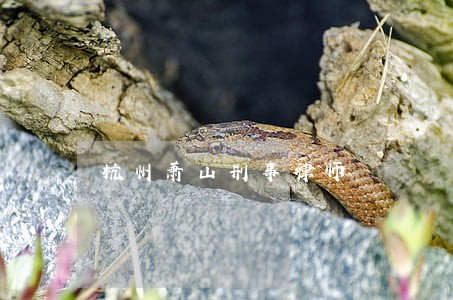 杭州萧山刑事律师 杭州萧山刑事律师