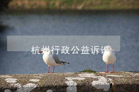 杭州行政公益诉讼 杭州行政公益诉讼