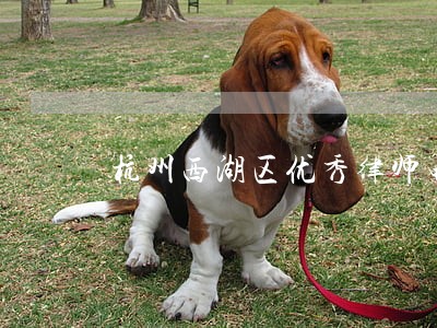 杭州西湖区优秀律师电话 杭州西湖区优秀律师电话