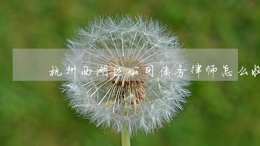 杭州西湖区公司债务律师怎么收费 杭州西湖区公司债务律师怎么收费