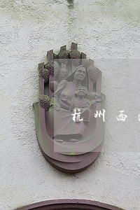 杭州西湖区刑事领域律师推荐