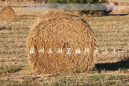 杭州西湖区拍照违法点一共有几处 杭州西湖区拍照违法点一共有几处