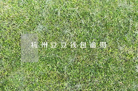 杭州豆豆钱包逾期 杭州豆豆钱包逾期