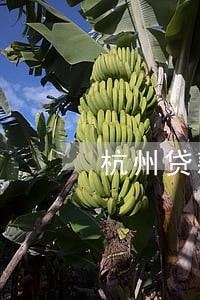 杭州贷款逾期修复 杭州贷款逾期修复
