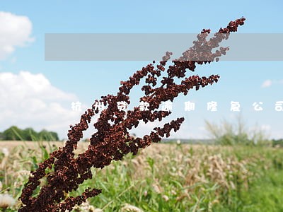 杭州贷款逾期修复公司 杭州贷款逾期修复公司