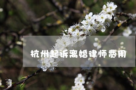 杭州起诉离婚律师费用 杭州起诉离婚律师费用