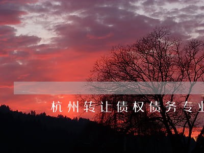 杭州转让债权债务专业律师