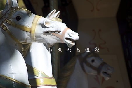 杭州钱呗钱包逾期 杭州钱呗钱包逾期